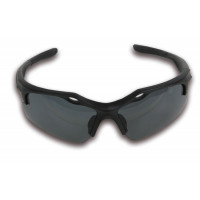 Okulary ochronne z przyciemnianymi soczewkami z poliwęglanu Beta 7076BD